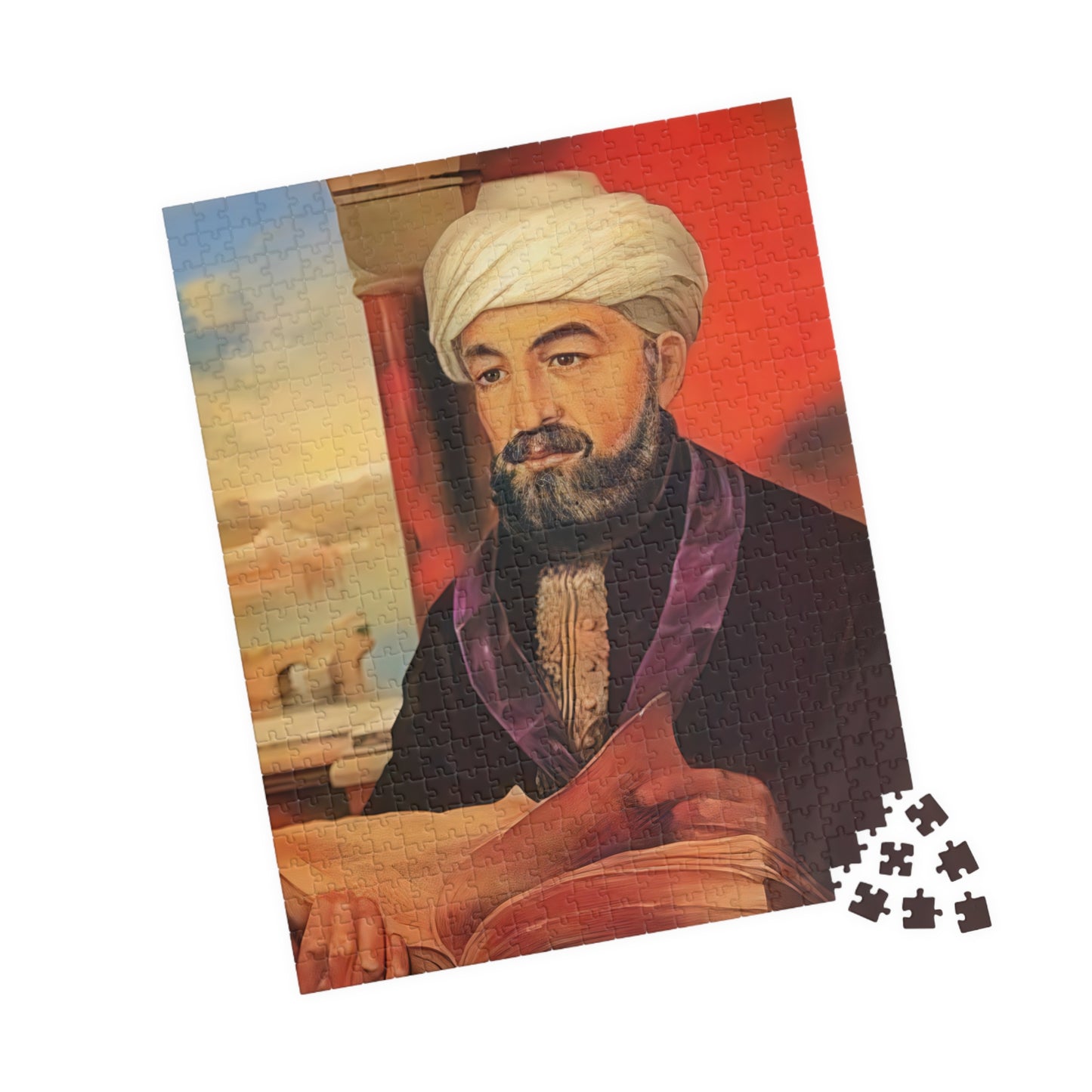 חידת רמב"ם-רמב"ם